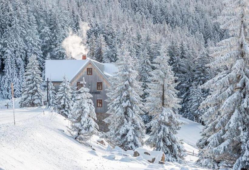 پانسیون Erlebachova Bouda, Hotel   Resort Svatý František