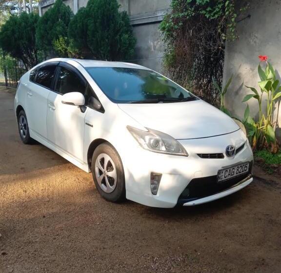 膳宿费 Ruins View Holiday Resort