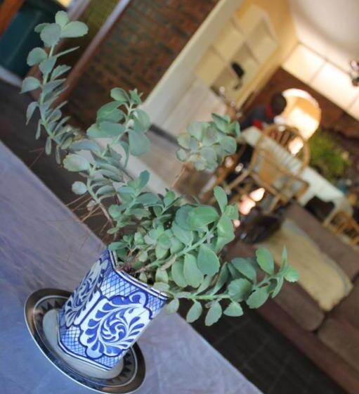 Пансион Su Casa Scottsville