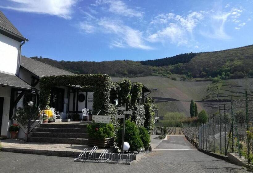 بنسيون Wein & Gästehaus Ballmann