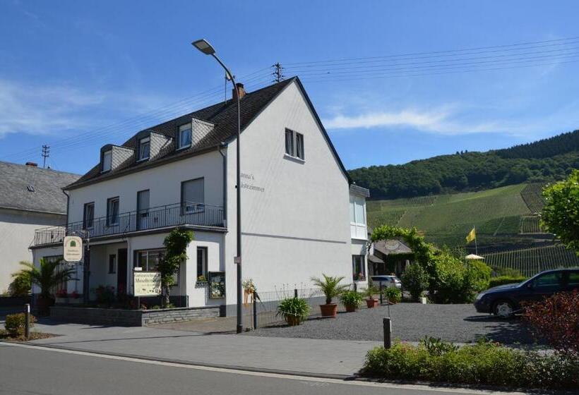 بنسيون Wein & Gästehaus Ballmann