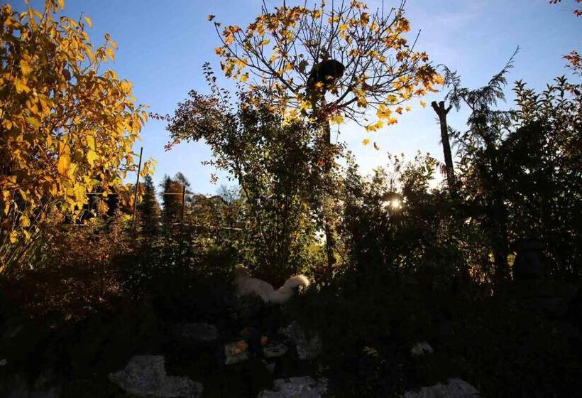 Pension Stoffenbauer