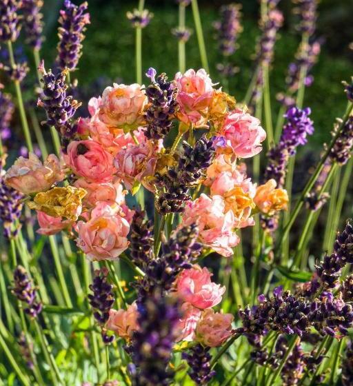 Pension Stoffenbauer