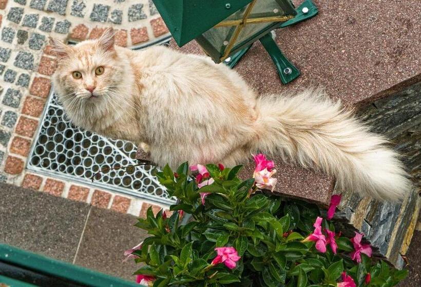 Pension Stoffenbauer