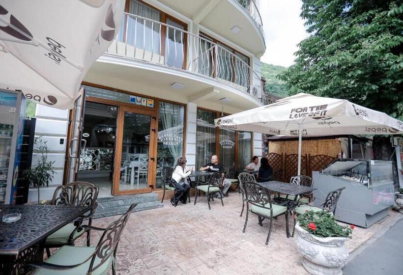 Pensiune Restaurant Select