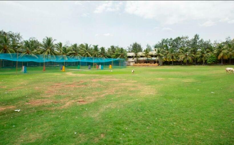 渡假胜地 Ocean Spray