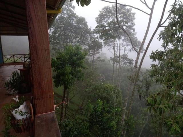 Sitio Sombra Da Mata