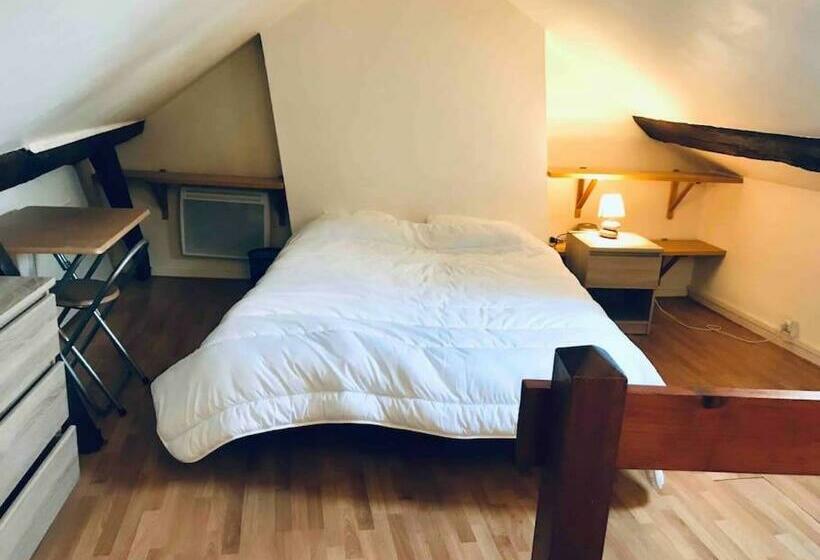 The King Duplex In The Enter Of Fontainebleau