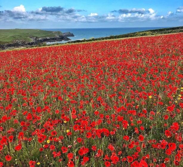 The Sanctuary Newquay