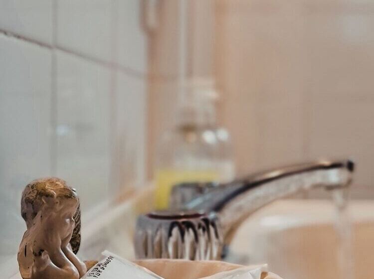 فندق صغير Flor Austral