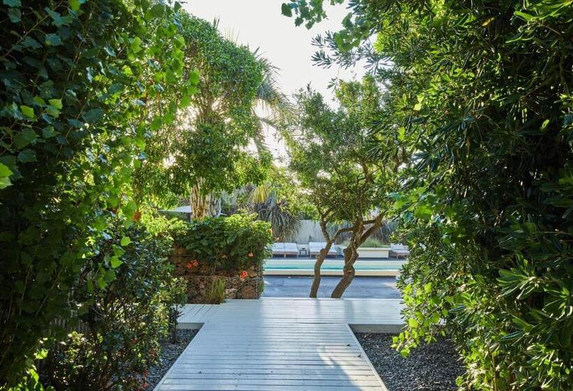 هاستل Posada Tamarindo