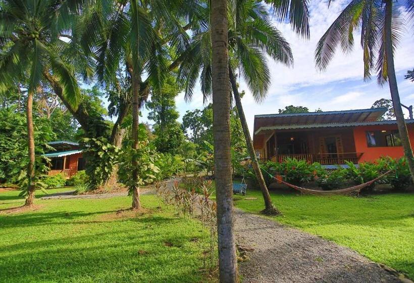 Beachfront Villa Sea Breeze W Ac And Pool