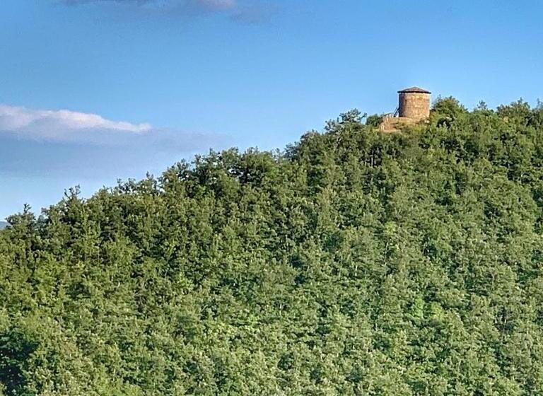 ベッドアンドブレックファースト Al Corniolo