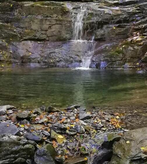 ベッドアンドブレックファースト Al Corniolo