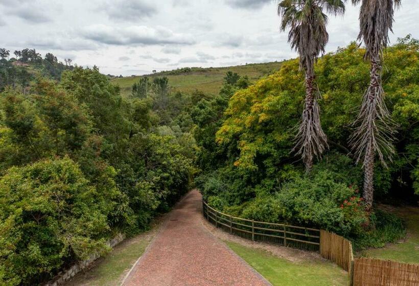 住宿加早餐  Bwhale Guest House