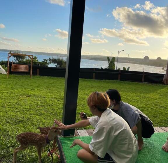 تختخواب و صبحانه Sky Villa   南灣薇拉海景莊園 包棟villa