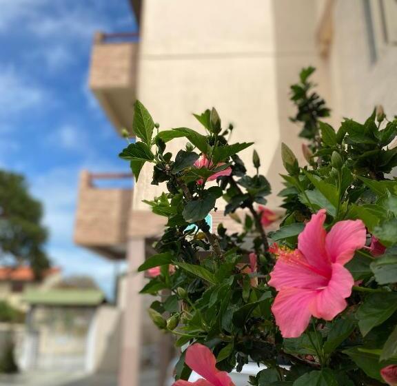 & Pousada Bella Vista