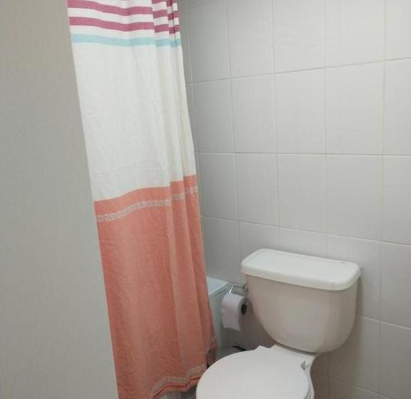 Departamento Pelluco, Puerto Montt