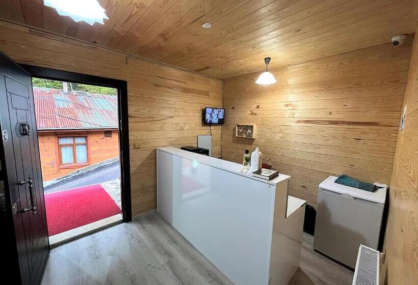 호텔 Cerrahpaşa Sui̇te