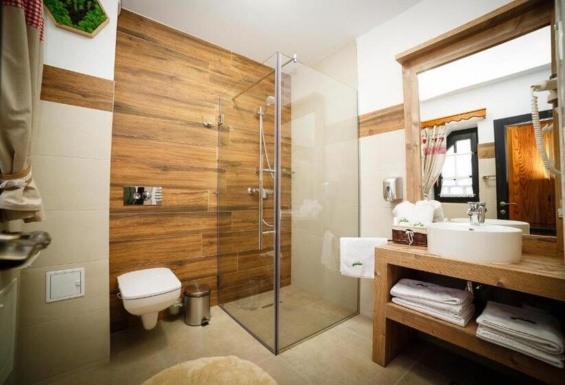 Отель Colț De Austria