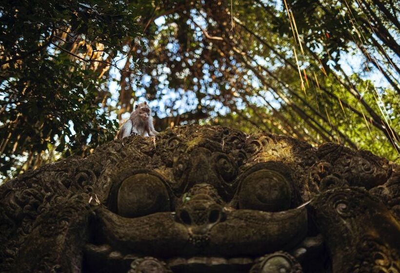 هتل Gdas Bali Health And Wellness Resort