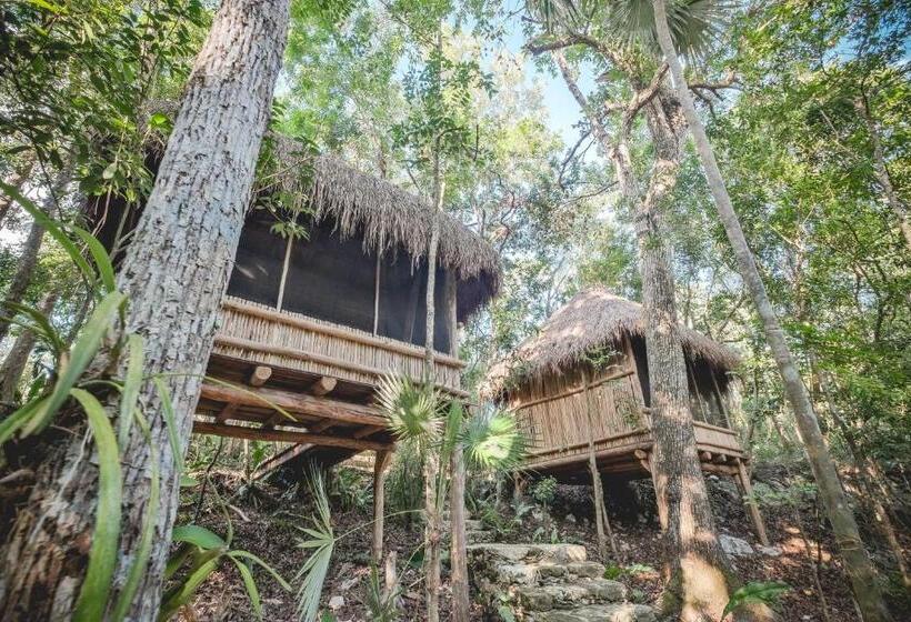 هتل Wakax Hacienda  Cenote & Boutique