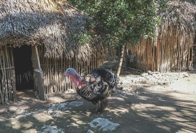 هتل Wakax Hacienda  Cenote & Boutique