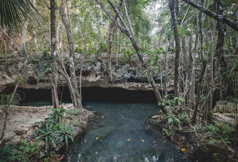 هتل Wakax Hacienda  Cenote & Boutique