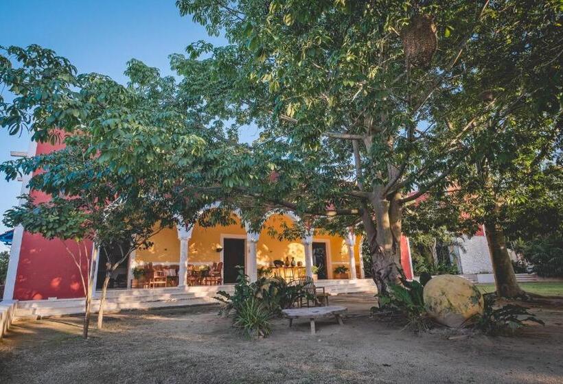 هتل Wakax Hacienda  Cenote & Boutique