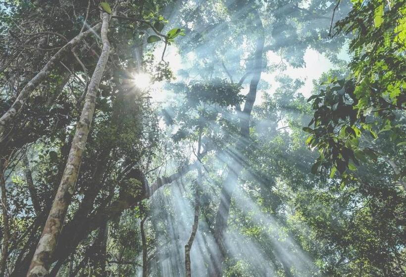 هتل Wakax Hacienda  Cenote & Boutique