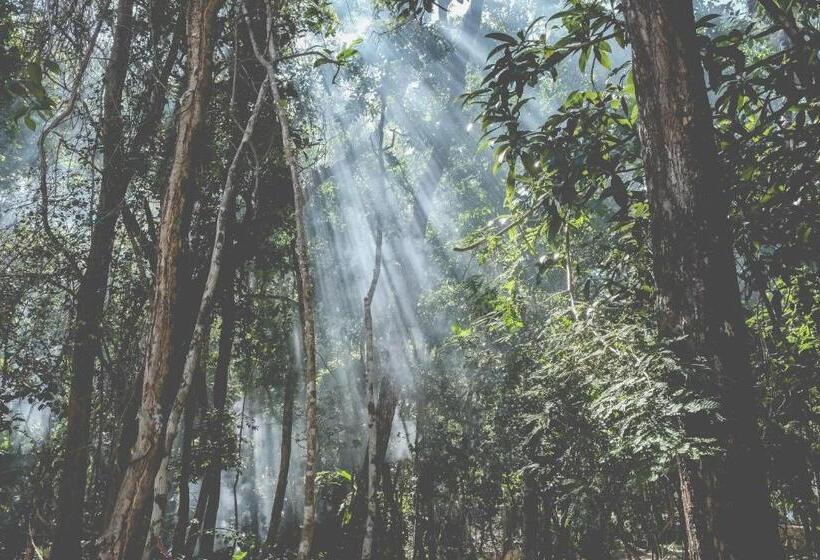 هتل Wakax Hacienda  Cenote & Boutique