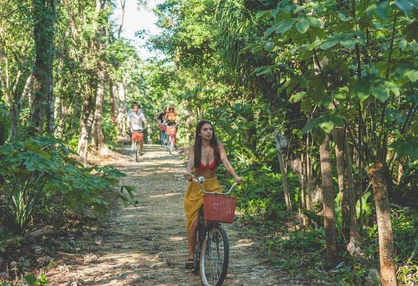 هتل Wakax Hacienda  Cenote & Boutique