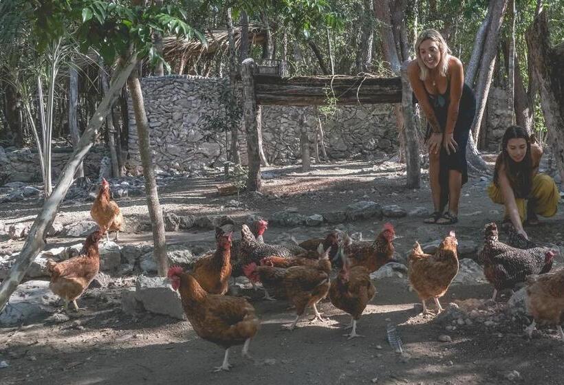 هتل Wakax Hacienda  Cenote & Boutique