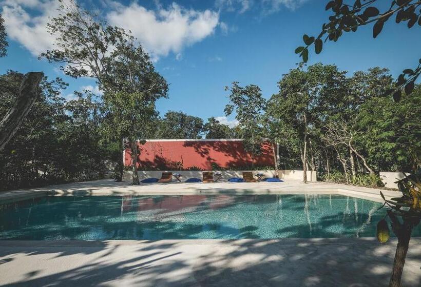 هتل Wakax Hacienda  Cenote & Boutique