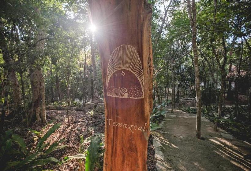 هتل Wakax Hacienda  Cenote & Boutique