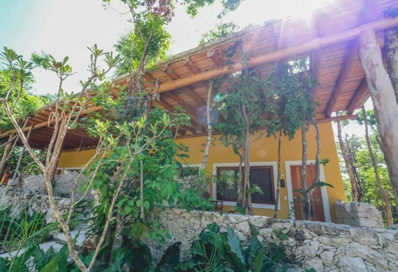 هتل Wakax Hacienda  Cenote & Boutique