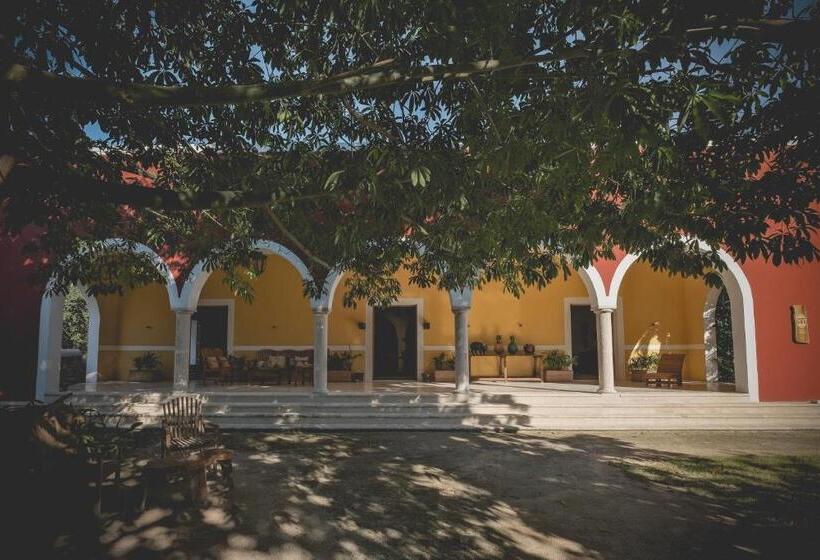 هتل Wakax Hacienda  Cenote & Boutique