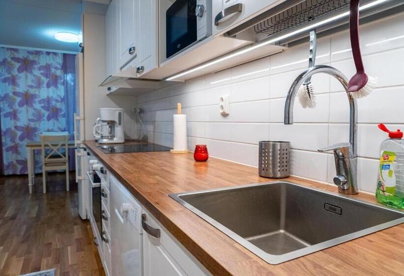 Kaksio Helsingissä Hyvien Kulkuyhteyksien Varrella