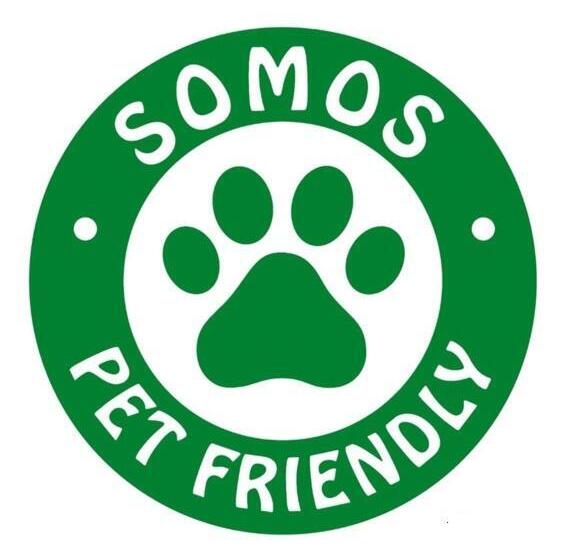 Пансион Casa Flor Hostel & Drinks