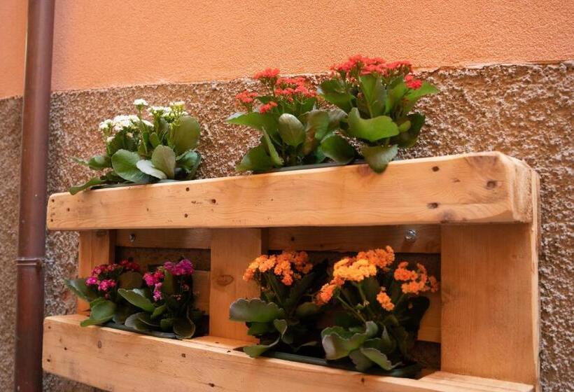 פנסיון Casa Mirto