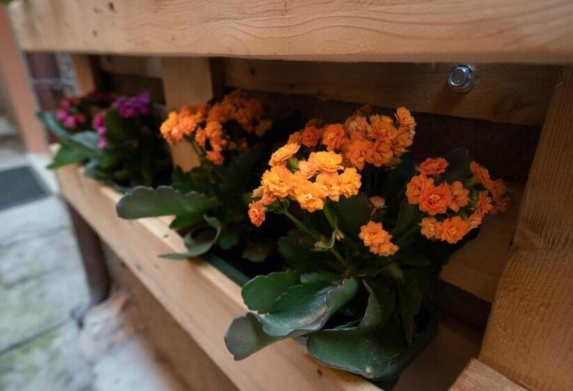 פנסיון Casa Mirto