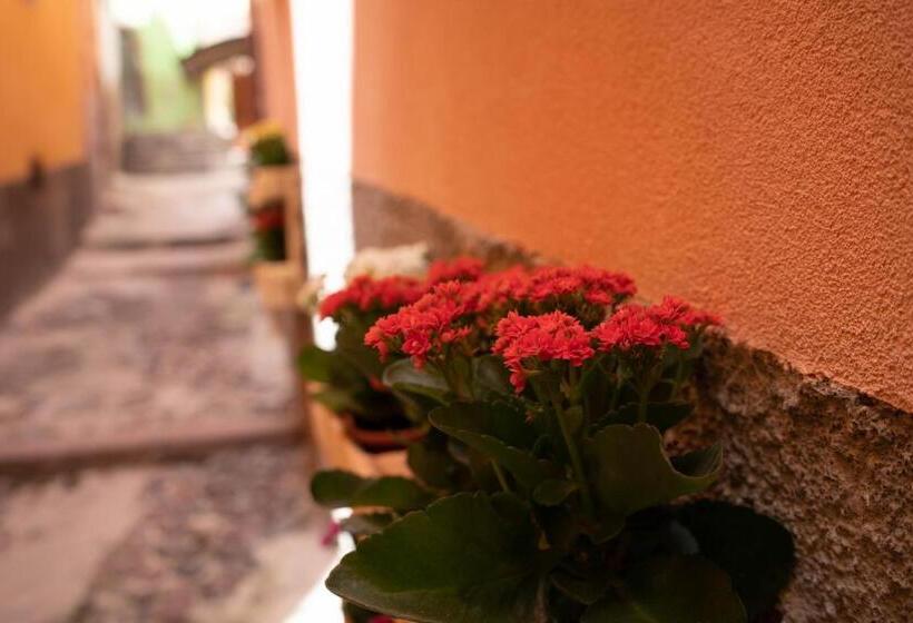 פנסיון Casa Mirto