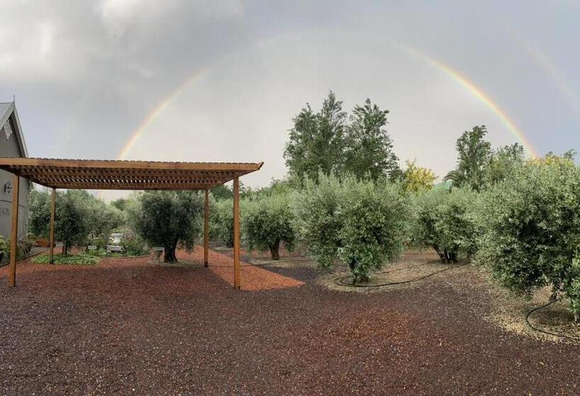 펜션 Mirihof Retreat And Olive Estate