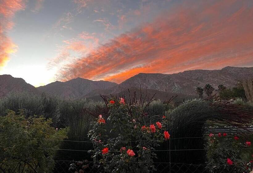 펜션 Mirihof Retreat And Olive Estate