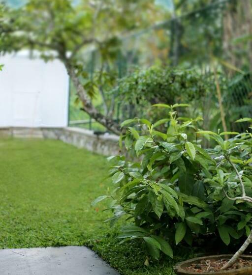 펜션 Triple Edge Villa