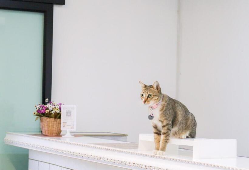 אתר נופש เขาค้อ บาร์ล้านวิว Barlanview