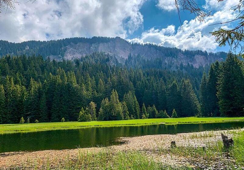 Stand Art апартамент , смолянски езера