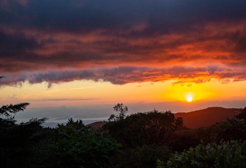 Sunset Monteverde