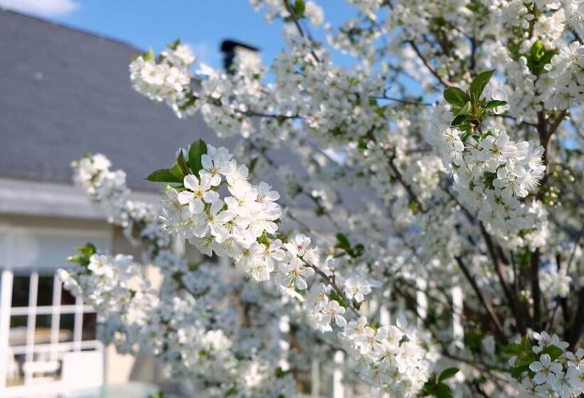 Bed and Breakfast Villa Orchard Frankfurt