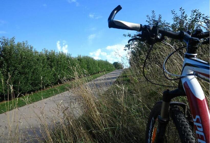 Bed and Breakfast Villa Orchard Frankfurt